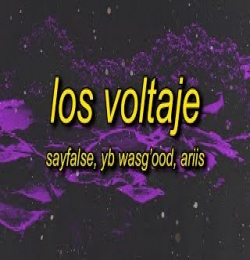 LOS VOLTAJE