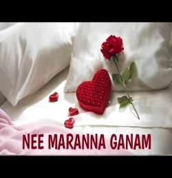 Nee Maranna Ganam [Main Agar Kahu Bgm]
