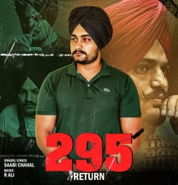 295 Returns