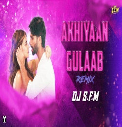 Akhiyaan Gulaab Remix